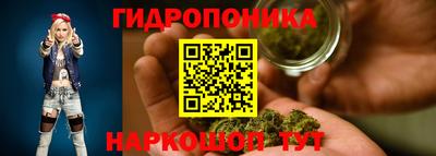 сатива Тверь
