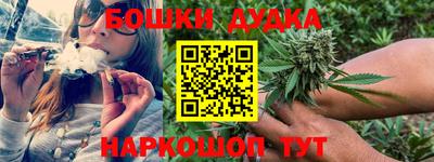 сатива Тверь