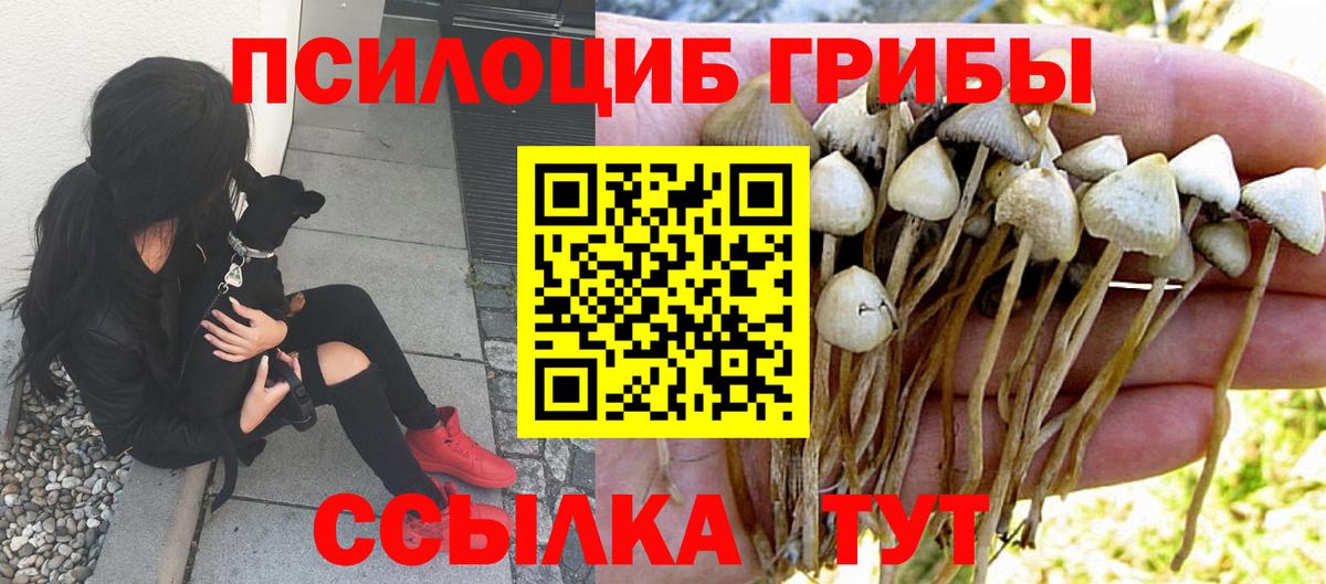 Бахчисарай  Галлюциногенные грибы Cubensis  Псилоцибиновые грибы мицелий  Вход с VPN 